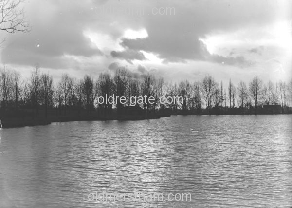 Image number 1503&prevurl=year1916