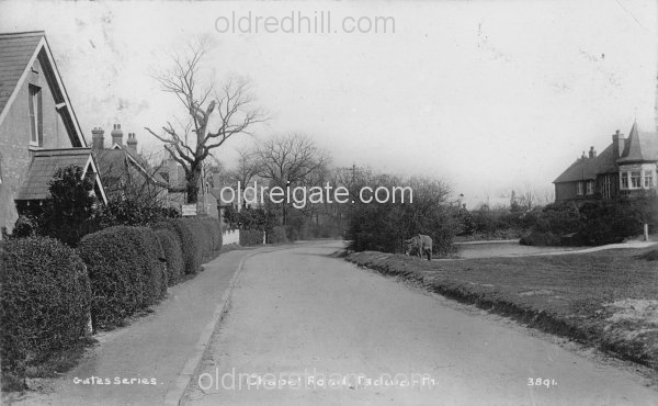 Image number 796&prevurl=year1916